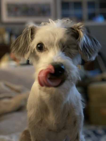 Entry image for One Eyed Jack. Clicking this image will show a larger photo