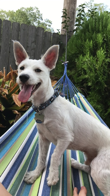 Entry image for Hayes. Clicking this image will show a larger photo