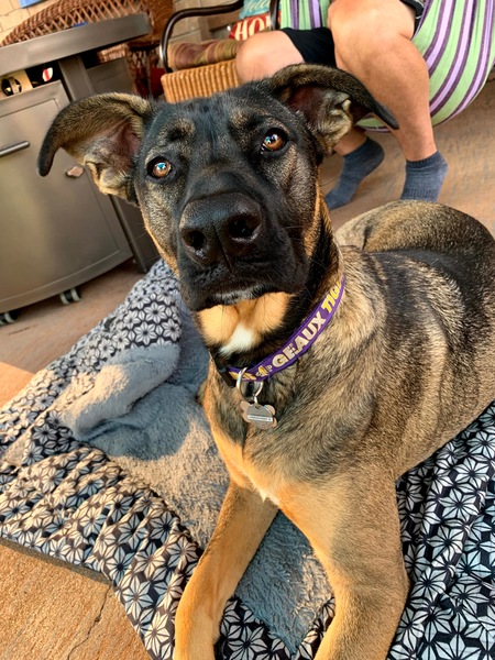 Entry image for Brieux Carre . Clicking this image will show a larger photo