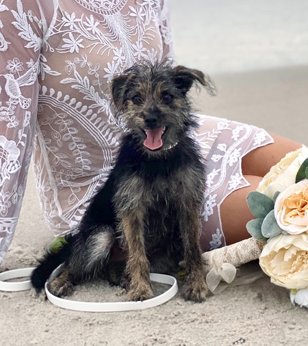 Entry image for Leto. Clicking this image will show a larger photo