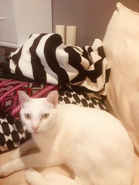 Entry image for Books. Clicking this image will show a larger photo