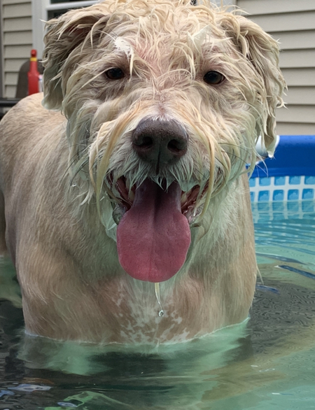 Entry image for Madolyn. Clicking this image will show a larger photo