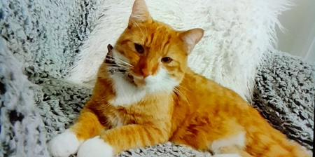 Entry image for Fred. Clicking this image will show a larger photo