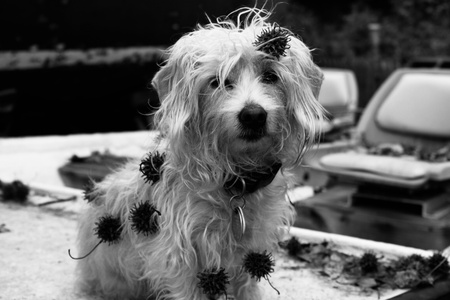 Entry image for sailor. Clicking this image will show a larger photo