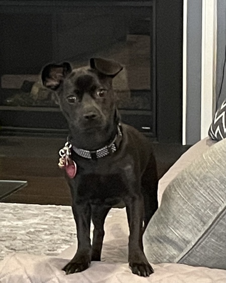 Entry image for Boo Kay. Clicking this image will show a larger photo