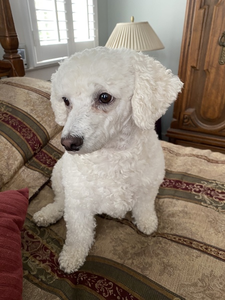 Entry image for Lexi. Clicking this image will show a larger photo