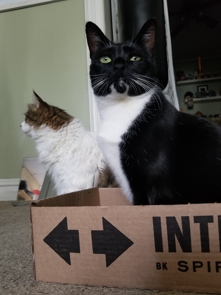 Entry image for La Lotería. Clicking this image will show a larger photo