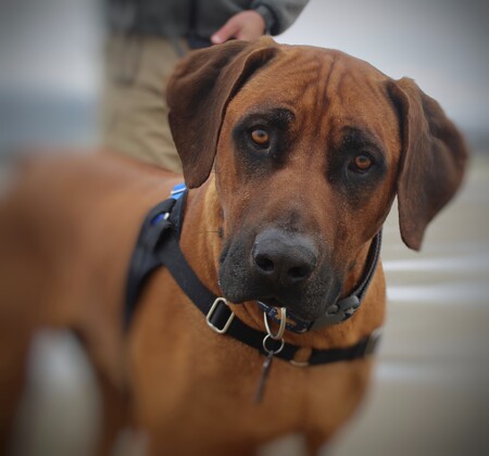 Entry image for Jeff. Clicking this image will show a larger photo