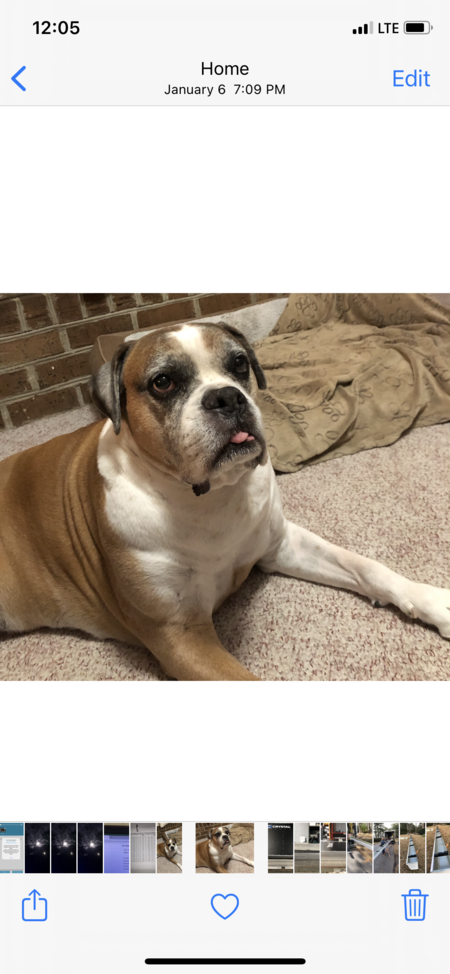 Entry image for BREWSTER. Clicking this image will show a larger photo