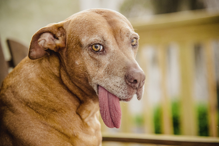 Entry image for Fergalicious. Clicking this image will show a larger photo