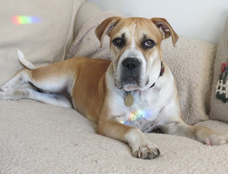 Entry image for Jolene. Clicking this image will show a larger photo