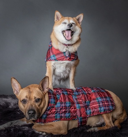 Entry image for Charlotte. Clicking this image will show a larger photo