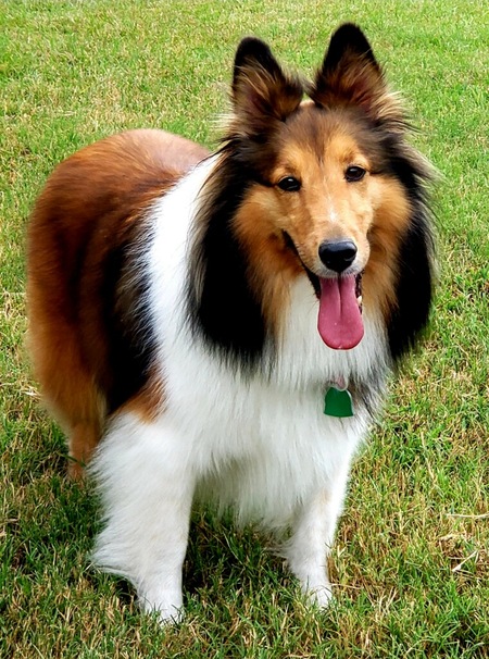 Entry image for Chloe. Clicking this image will show a larger photo