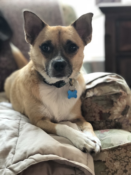 Entry image for Rocket . Clicking this image will show a larger photo