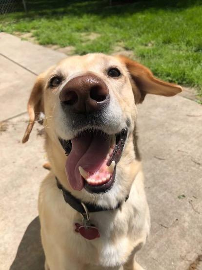 Entry image for Marty. Clicking this image will show a larger photo