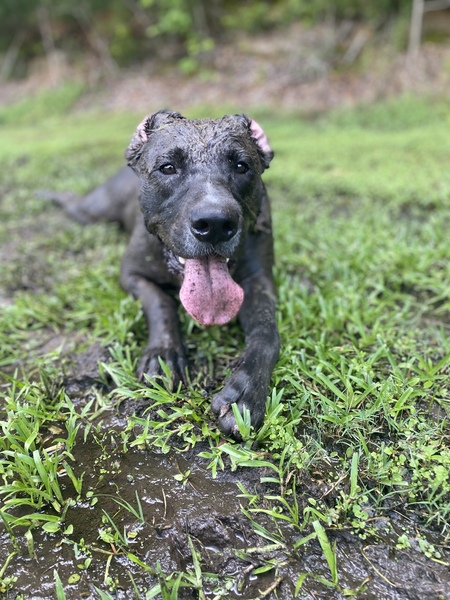 Entry image for Beowulf. Clicking this image will show a larger photo