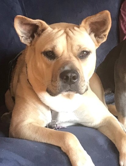 Entry image for Marcie. Clicking this image will show a larger photo