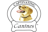 Captivating Canines