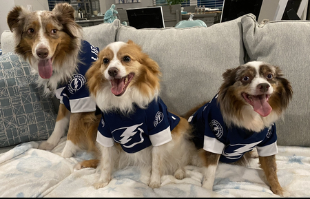 Judson, Kip, Levi - All rescues