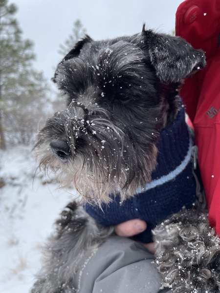 Toby