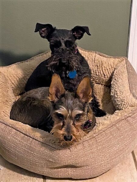 Pippi & Lilli