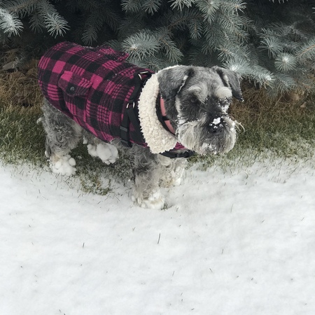 Maggie