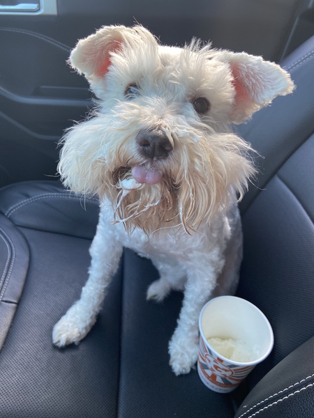 Archie