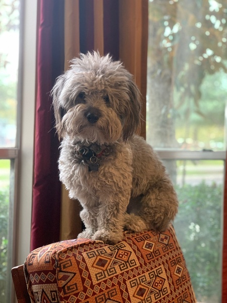 Millie