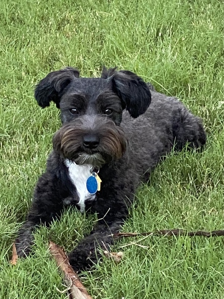Daisy Mae