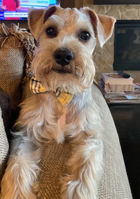 Charlie