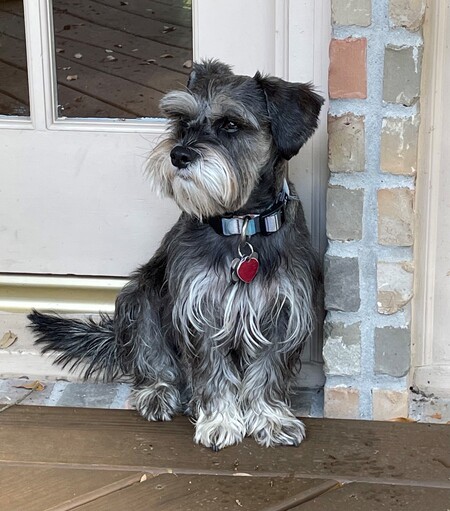 Murphy