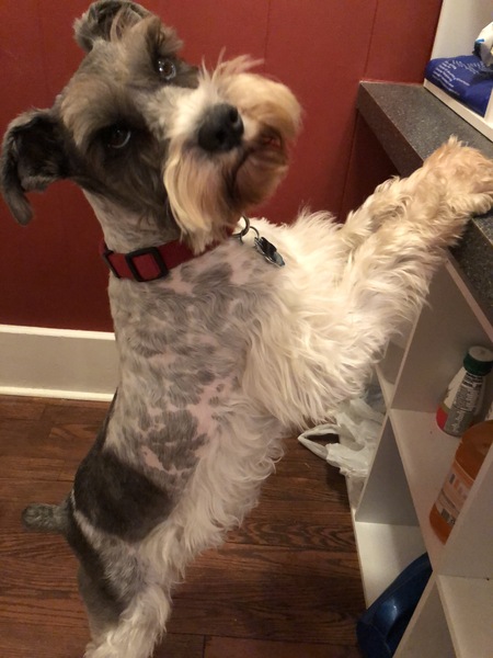Max