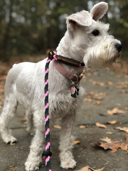Coco