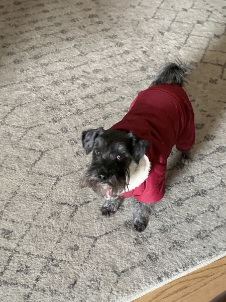 Fritzi 