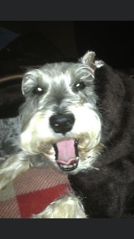 Boudreaux