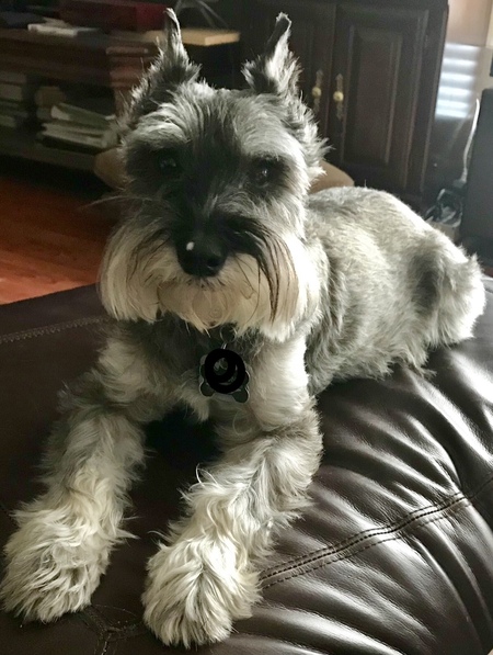 Milton