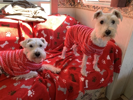 Lil’ Man & Teddie Girl