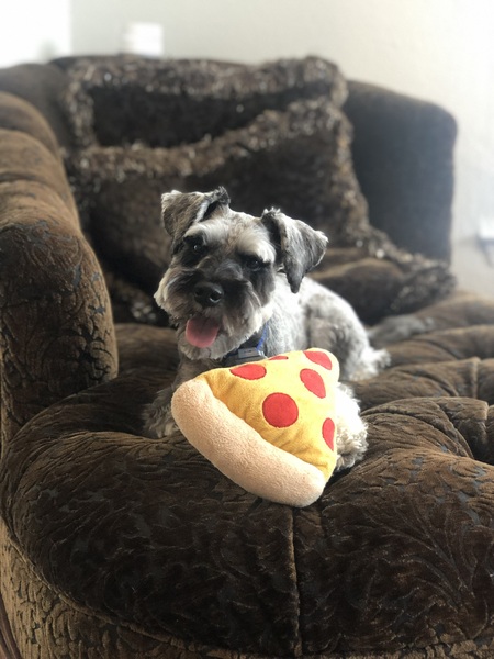 Fritz