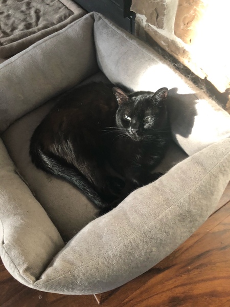 Onyx