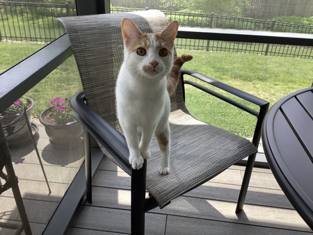 Gunther “Punkin” Shermeyer