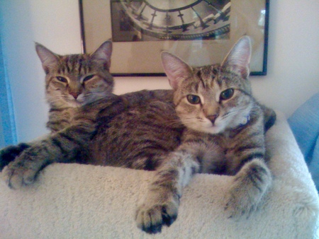 Josey & Casey