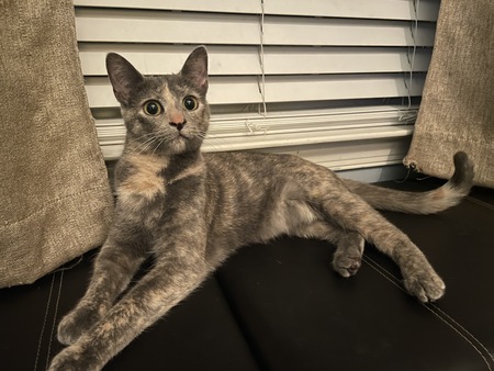 Luna