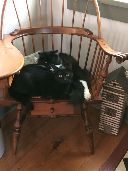 Mia and Sophie