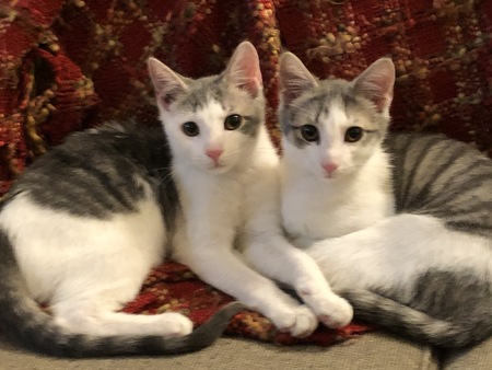 Butch and Sundance