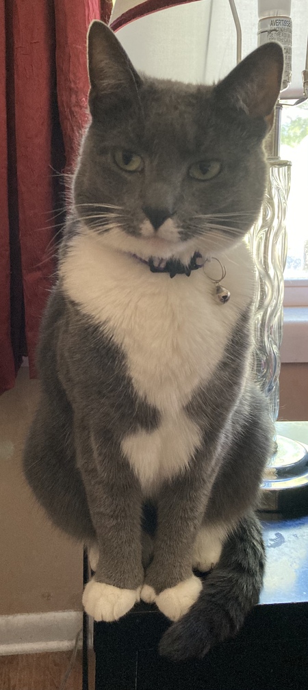 Izzy