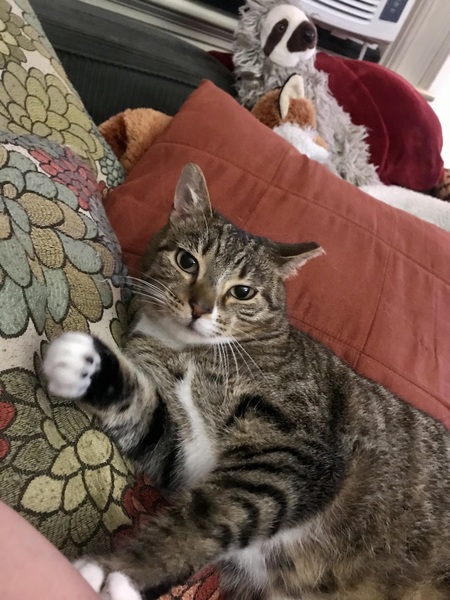 Jezebel