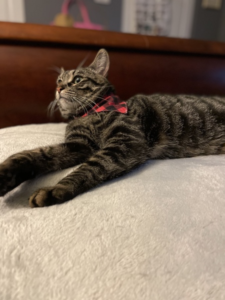 Binx