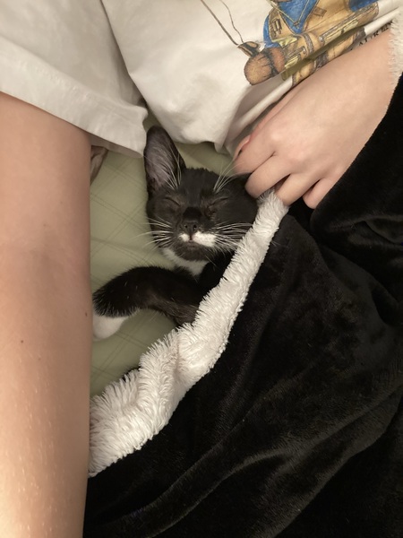 Roscoe