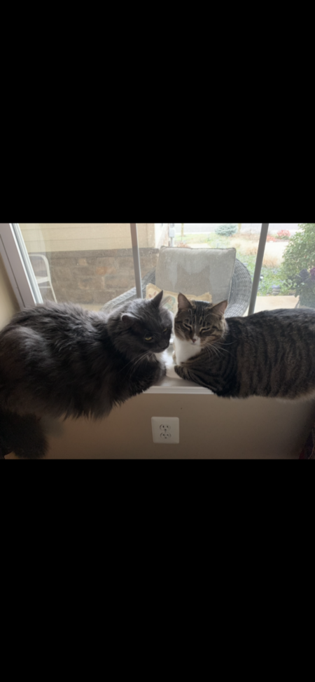 Thor and Elsa
