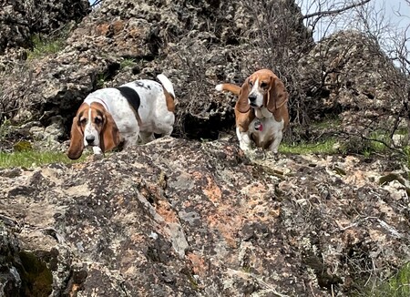 Zoey and Lucy